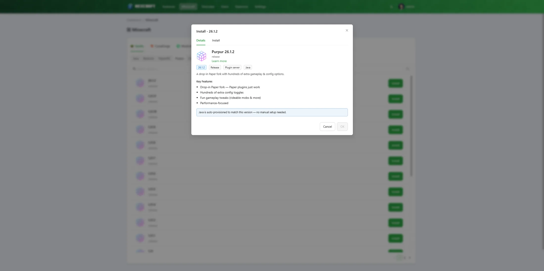 Custom builder — Details tab with tags, key features, and the Java note